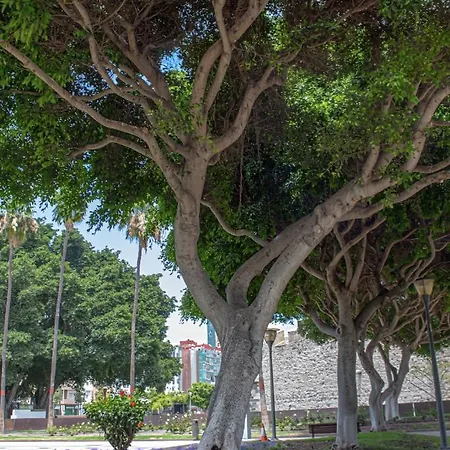 Rejon Hideaway A By Canariasgetaway