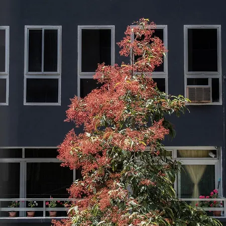 Casa vacanze Rejon Hideaway A By Canariasgetaway Las Palmas de Gran Canaria