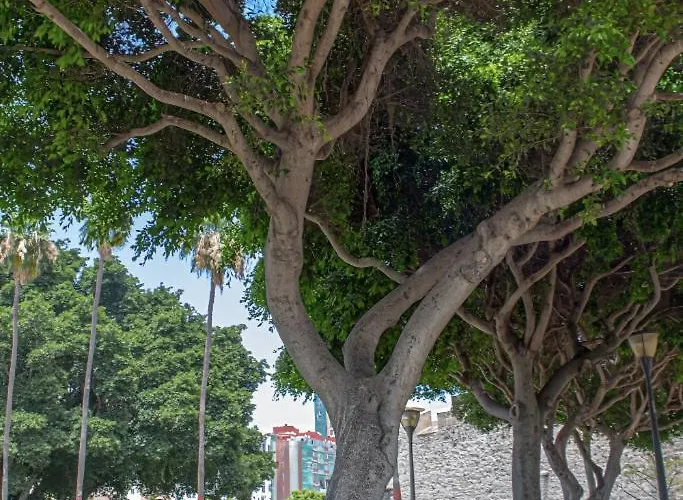 Rejon Hideaway A By Canariasgetaway