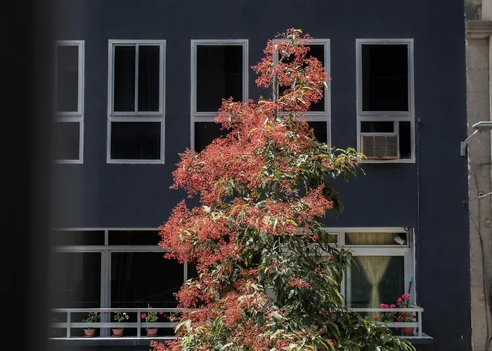 Сasa de vacaciones Rejon Hideaway A By Canariasgetaway Las Palmas de Gran Canaria